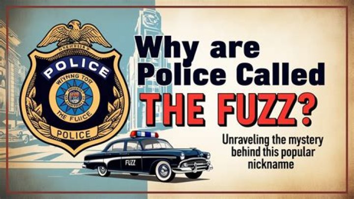 Why are police called 5 0? – Celebrity.fm – #1 Official Stars, Business & People Network, Wiki, Success story, Biography & Quotes
