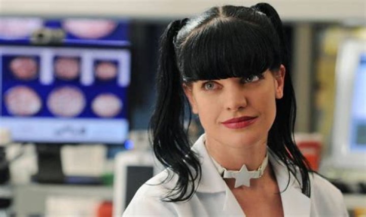Why did Abby Sciuto leave NCIS? – Celebrity.fm – #1 Official Stars, Business & People Network, Wiki, Success story, Biography & Quotes