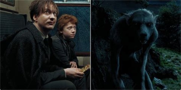 Why did Bill Weasley not become a werewolf? – Celebrity.fm – #1 Official Stars, Business & People Network, Wiki, Success story, Biography & Quotes