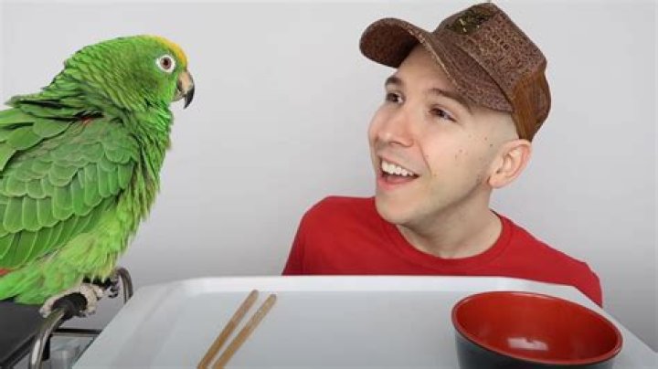 Why does Nikocado Avocado cry all the time?