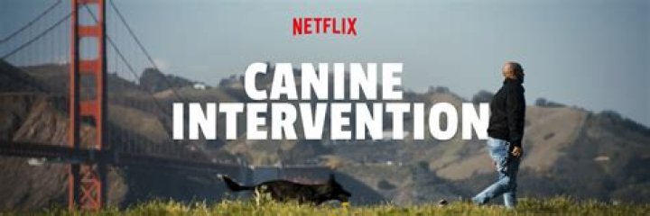 Why is Canine Intervention controversial? – Celebrity.fm – #1 Official Stars, Business & People Network, Wiki, Success story, Biography & Quotes