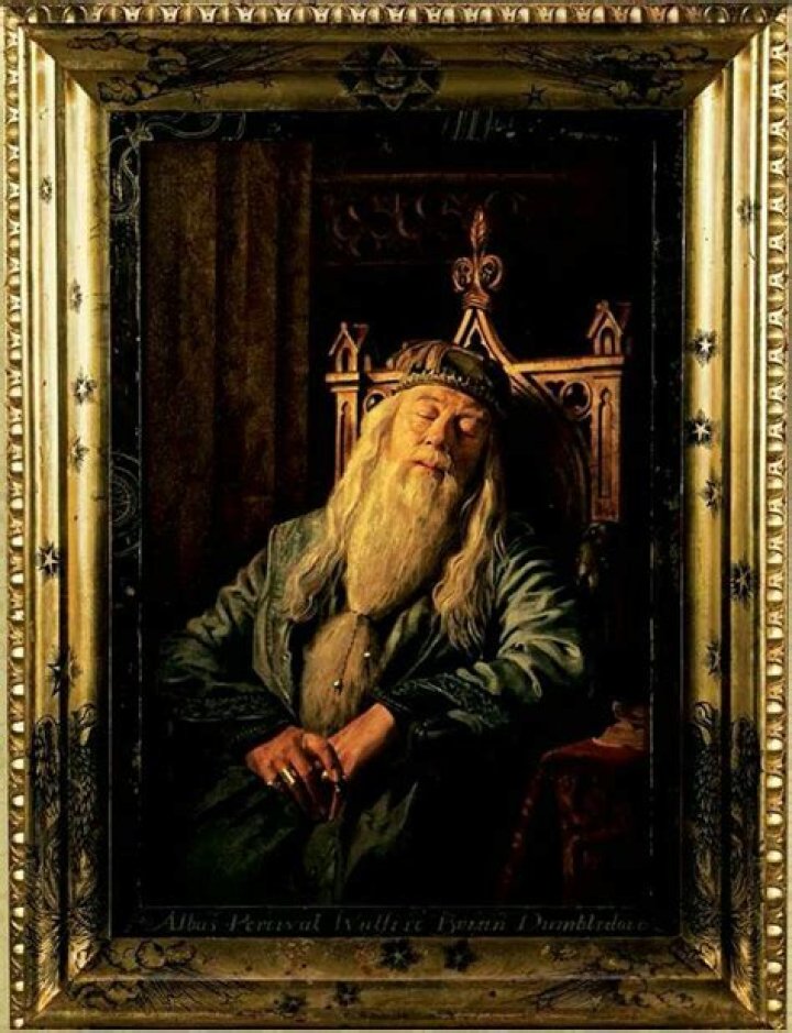 Why is Dumbledore’s painting sleeping?