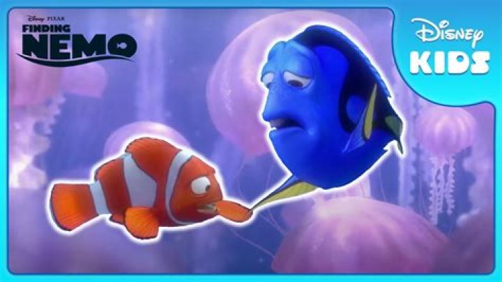 ¿Por qué el padre de Nemo se llama Marlin?